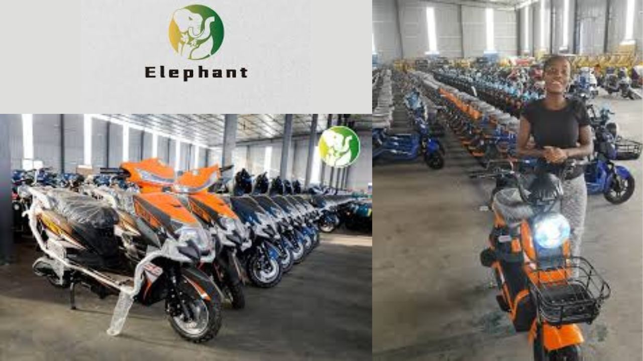elephant electric bikes and cars in ghana